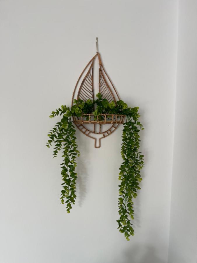 צ'יקלנה דה לה פרונטרה Palapa Garden Alojamientos, Piscina Privada Y Cerca Del Mar מראה חיצוני תמונה