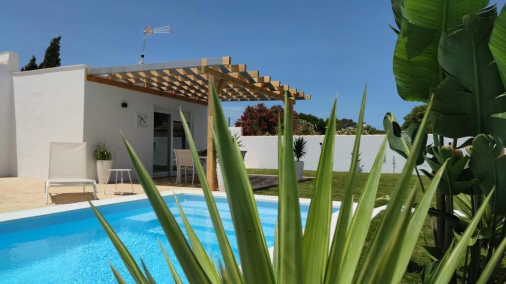 צ'יקלנה דה לה פרונטרה Palapa Garden Alojamientos, Piscina Privada Y Cerca Del Mar מראה חיצוני תמונה